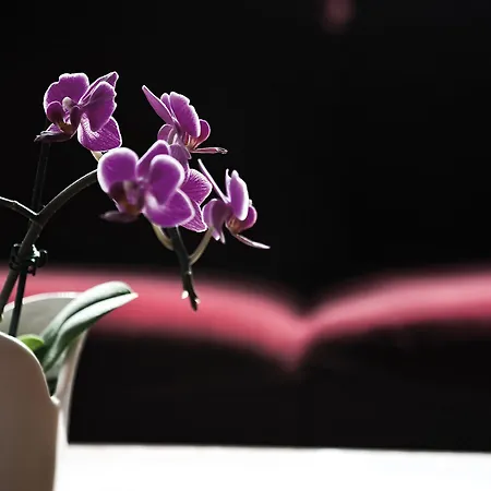 Szálloda Victor's Residenz-hotel 4*