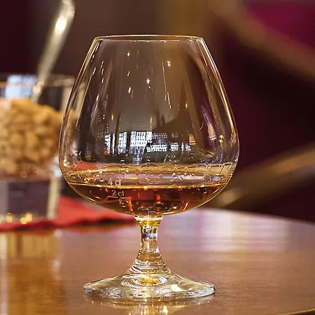 호텔 빅토르 레지덴츠-호텔