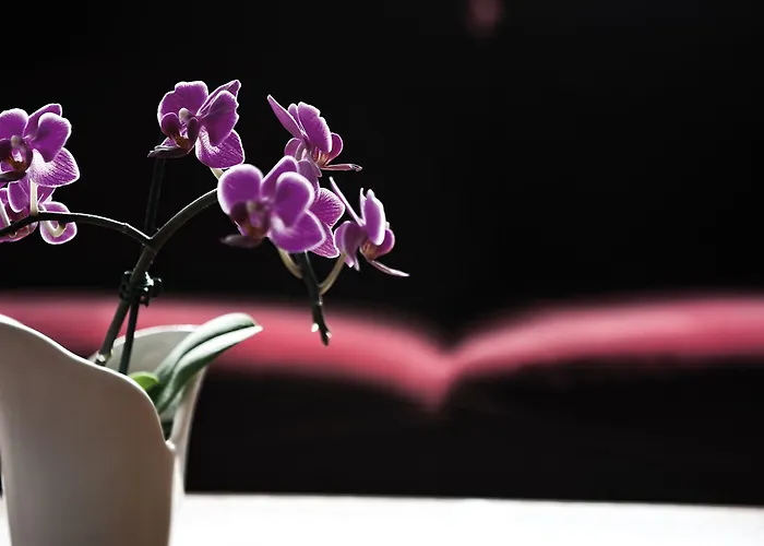 Hotel Victor's Residenz-hotel 4*